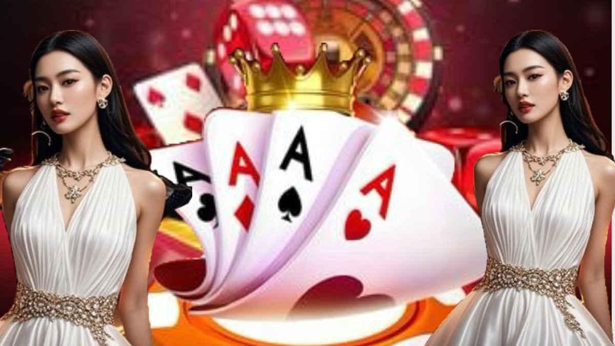 8833win